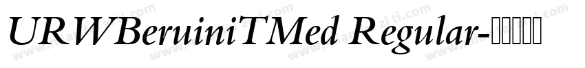 URWBeruiniTMed Regular字体转换